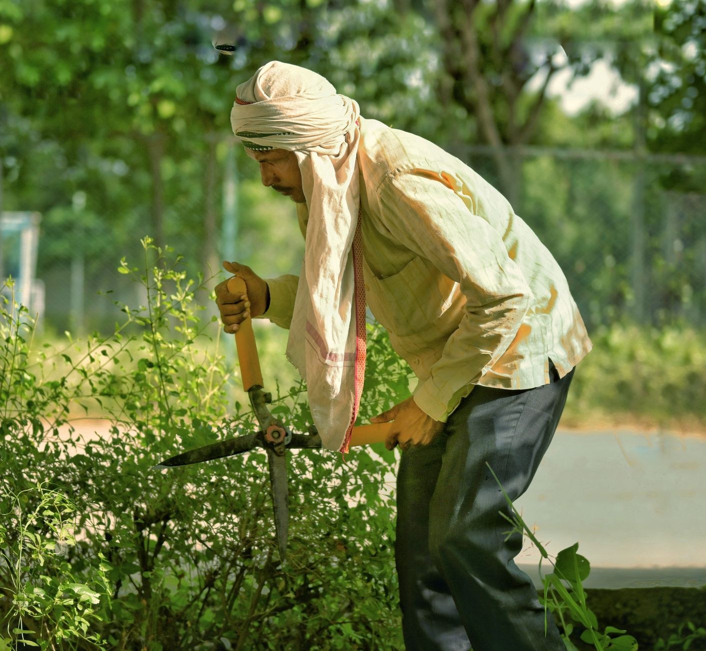 Garden Clearance, sample image, replace with a real job