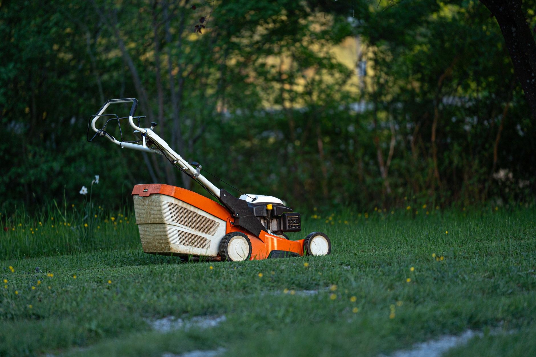 Recent lawn and garden work, sample image 1, replace with a real job