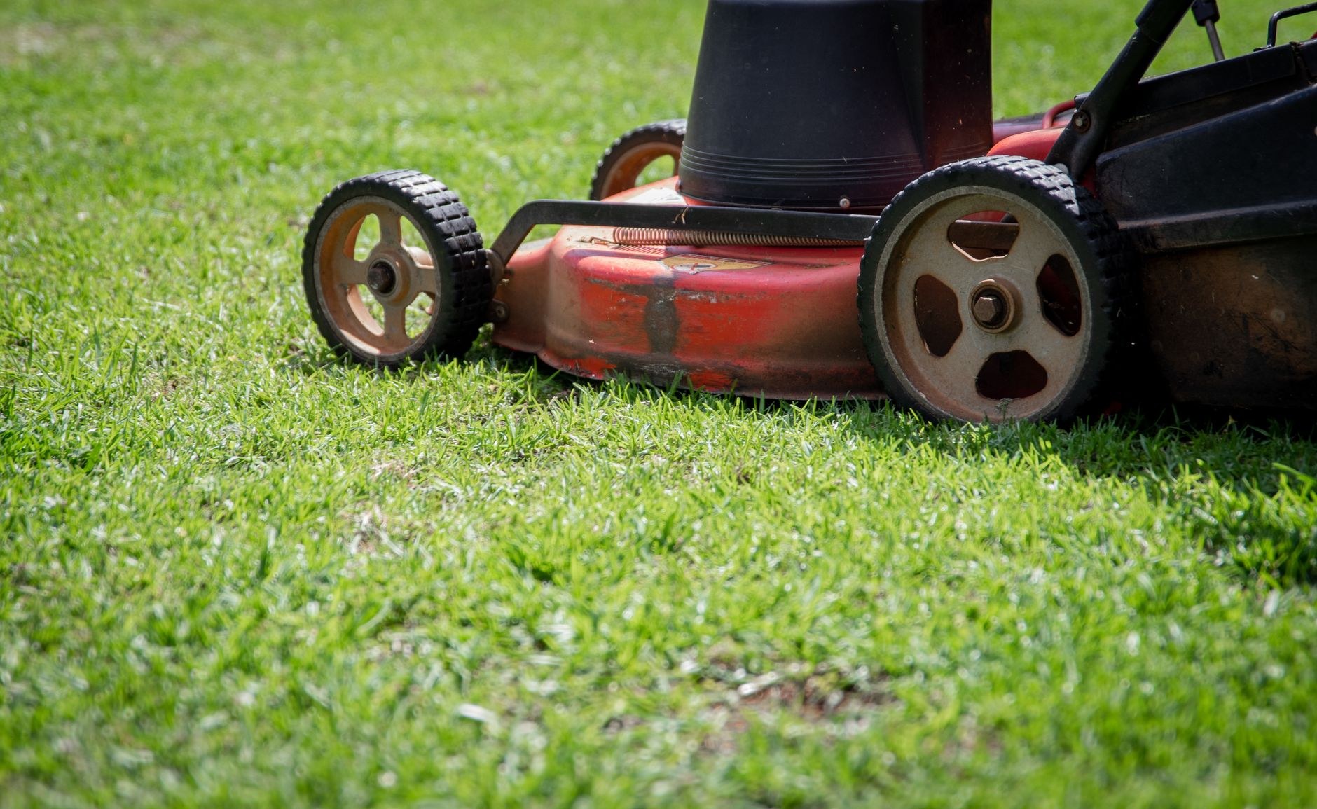 Recent lawn and garden work, sample image 3, replace with a real job