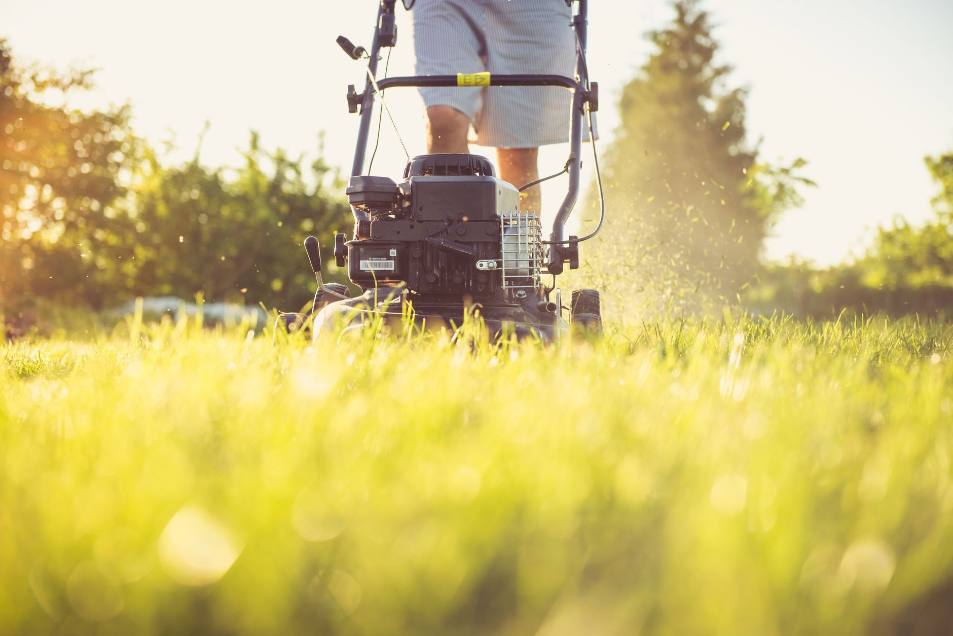 Lawn Maintenance, sample image, replace with a real job