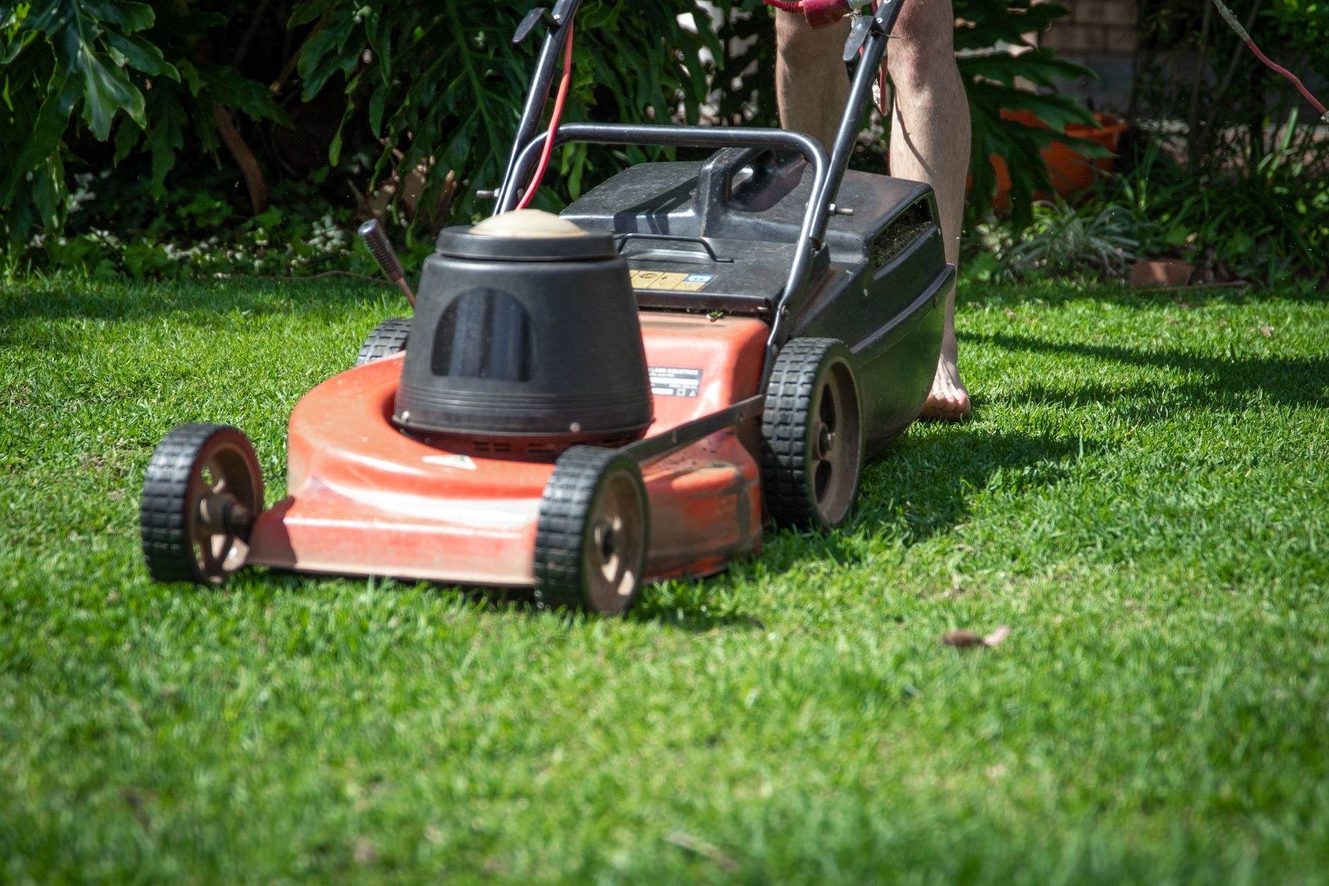 Recent lawn and garden work, sample image 2, replace with a real job