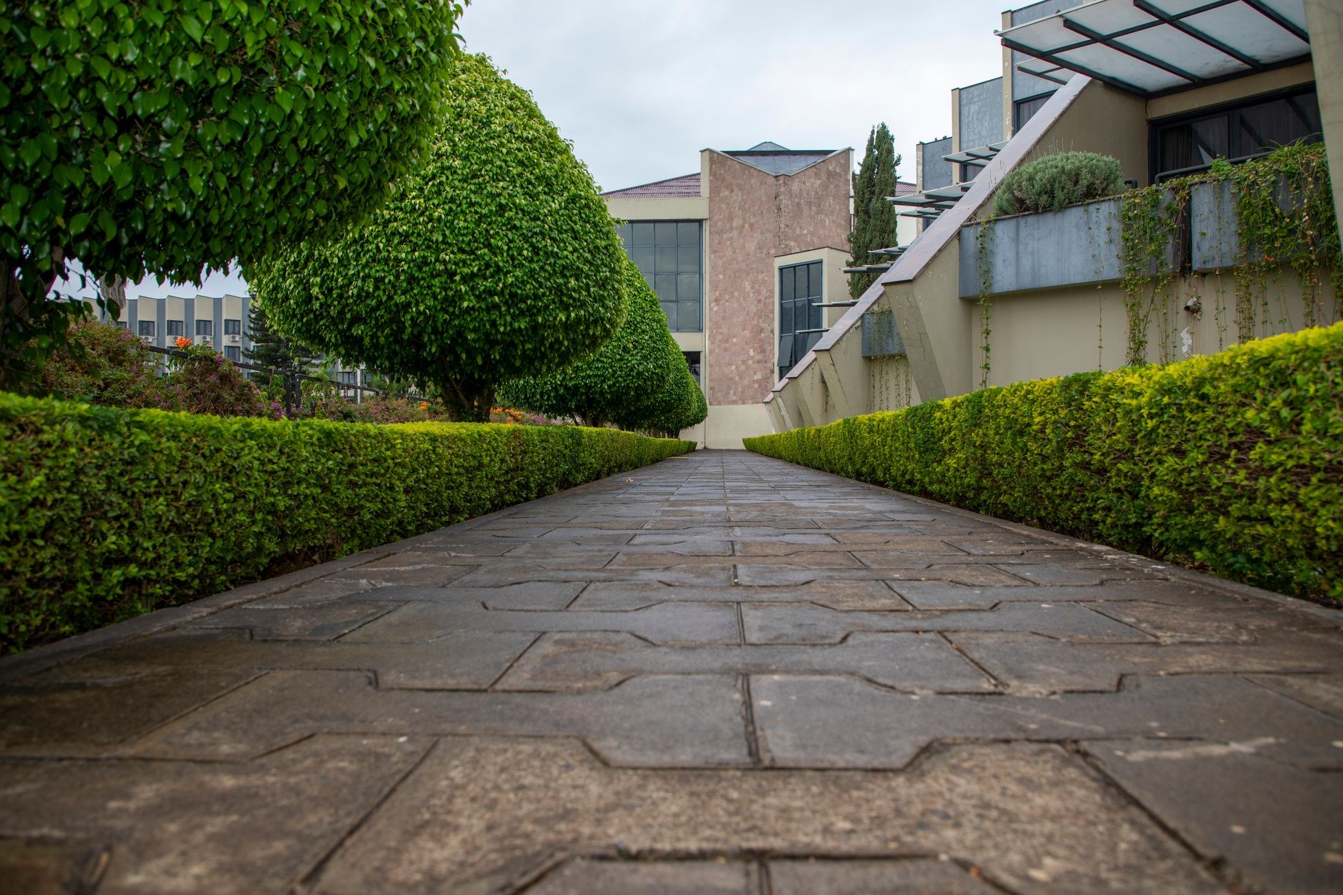 Property Maintenance, sample image, replace with a real job